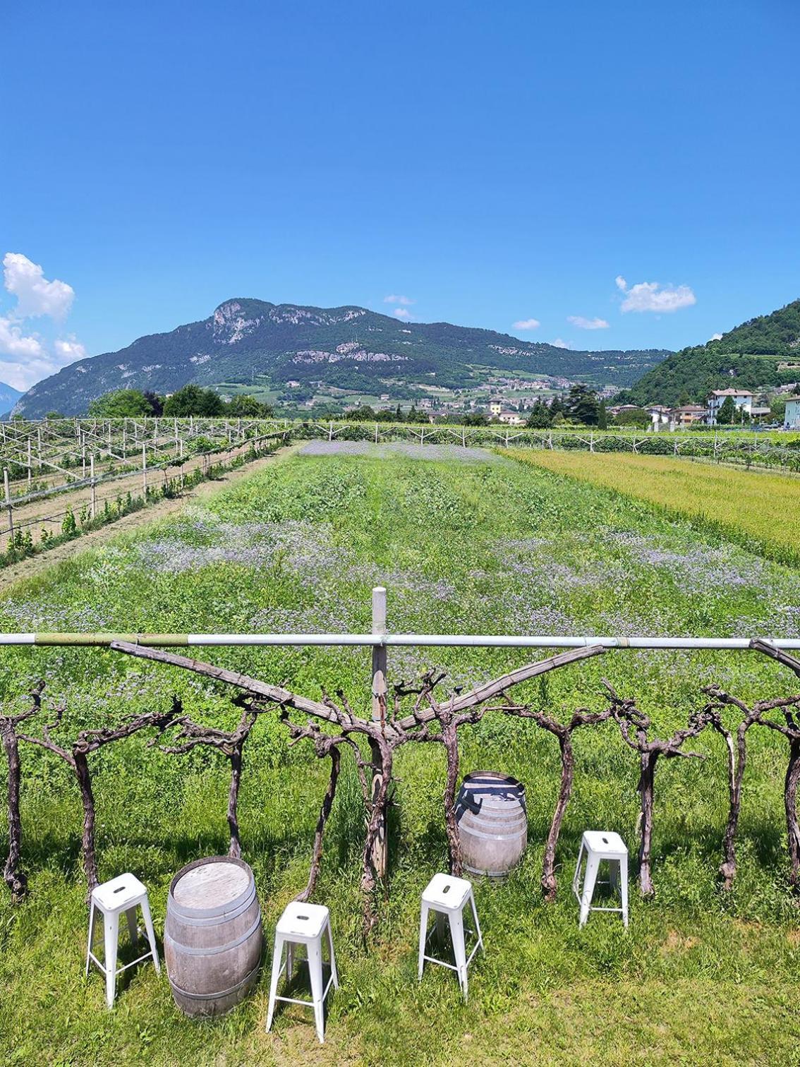 8 Grappoli Agritur Vila Trento Exterior foto