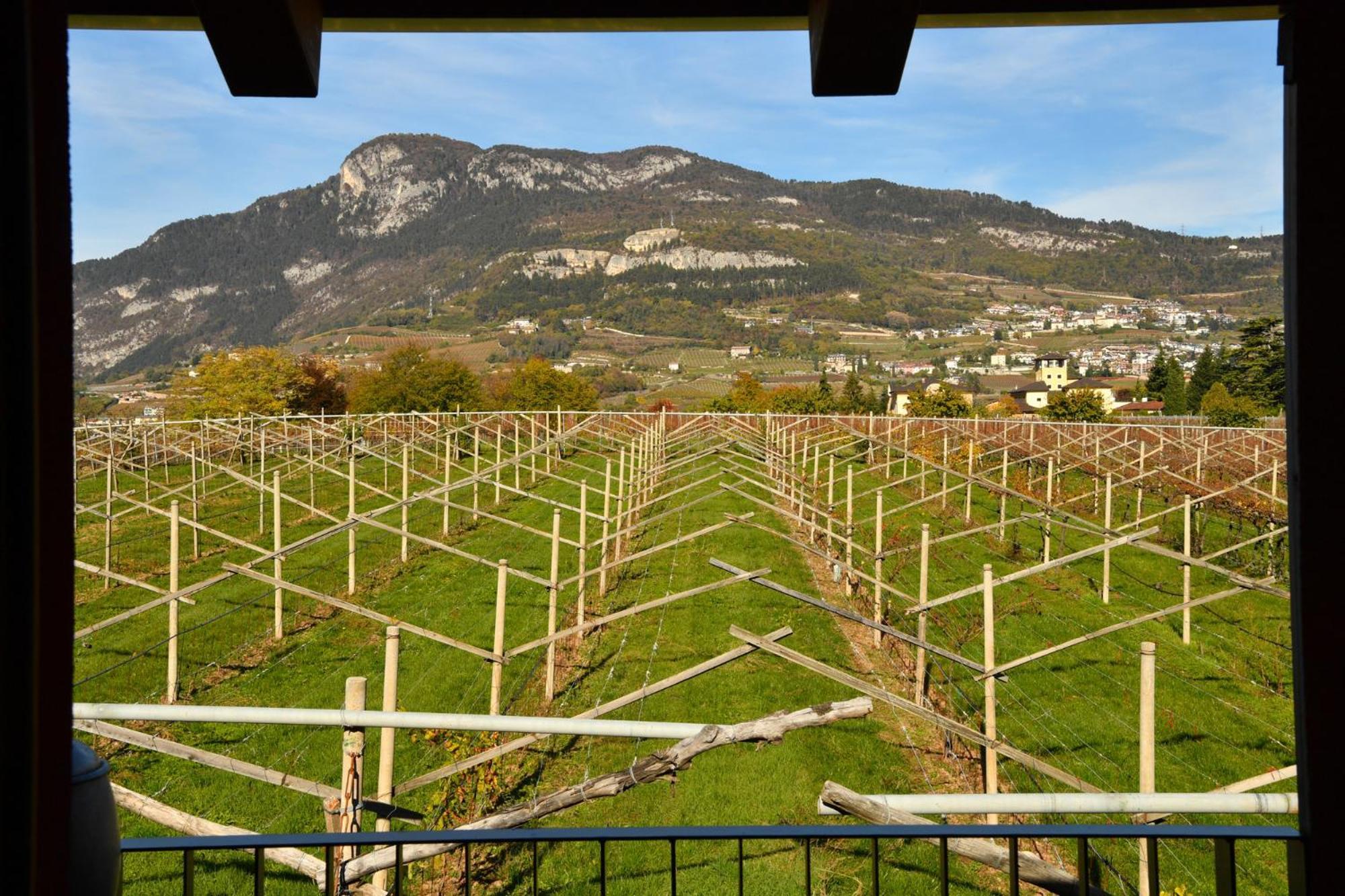 8 Grappoli Agritur Vila Trento Exterior foto